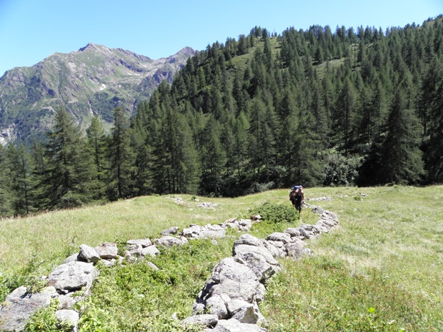 Il sentiero dopo il bivio per l'Alpe Larecchio